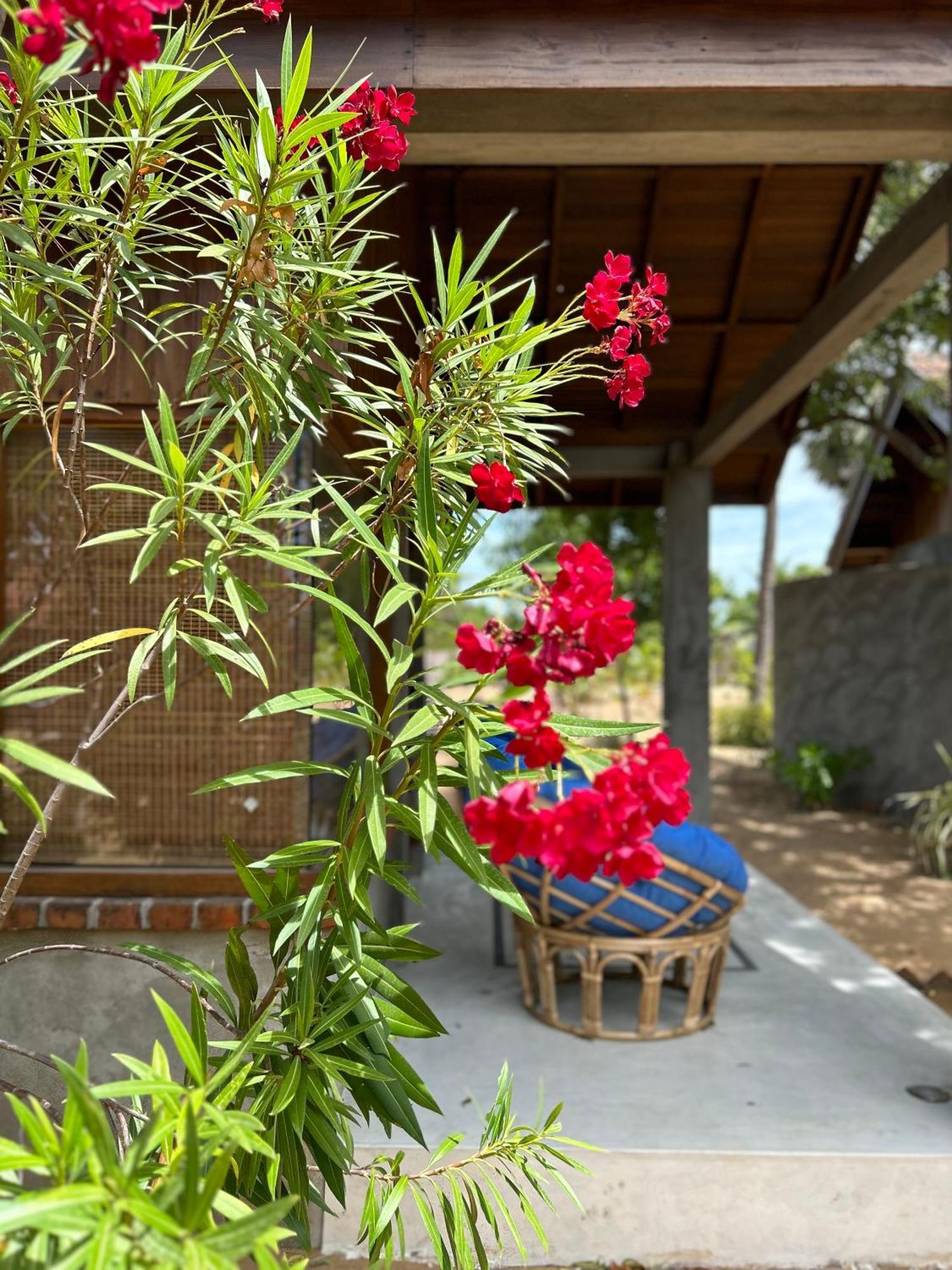 Arasi Resort Kalpitiya Esterno foto